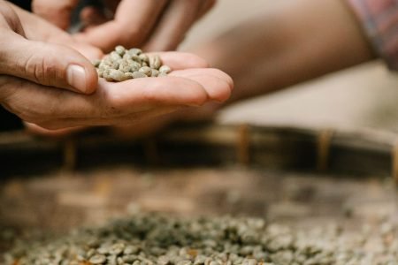 Crop anonymous male standing near pile of ripe green coffee beans in suburb area on blurred background during harvesting season